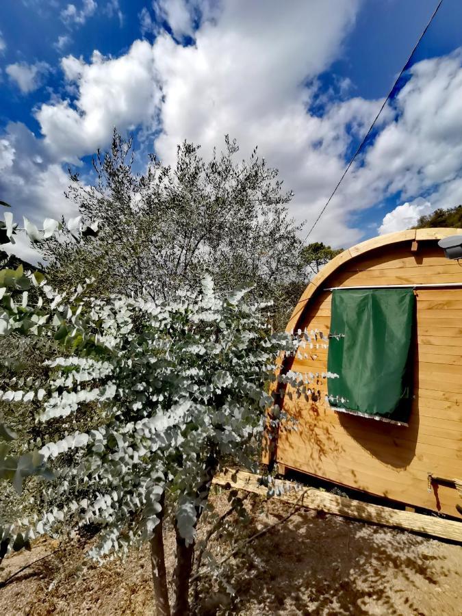Tiny Cottage Casa Uccello アプリカーレ エクステリア 写真